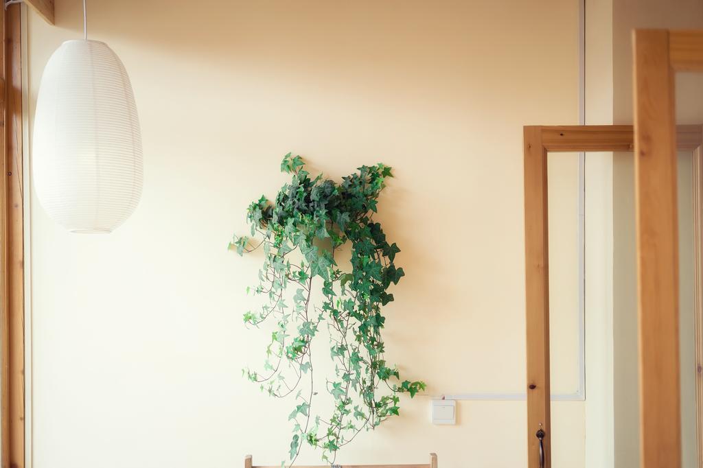 德钦Huksum House公寓 外观 照片